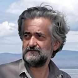 Luca Alinovi